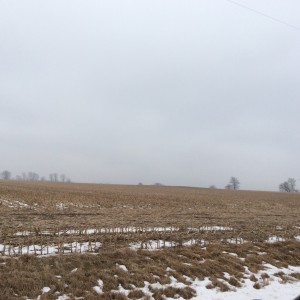 farm land in snow