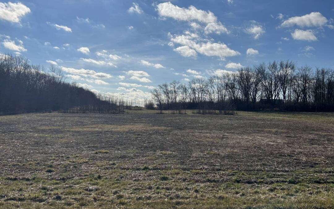 Will County-83.93 Acres for Sale